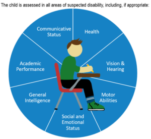 Blue circle with sections called Health, Vision & Hearing, Motor abilities, social and emotional status, general intelligence, academic performance and communicative status.